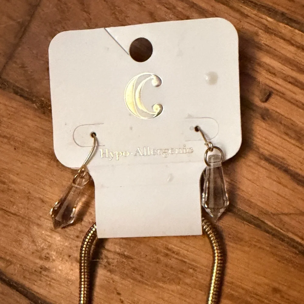 Hypo Allergenic Necklace & Earrings Set NWT